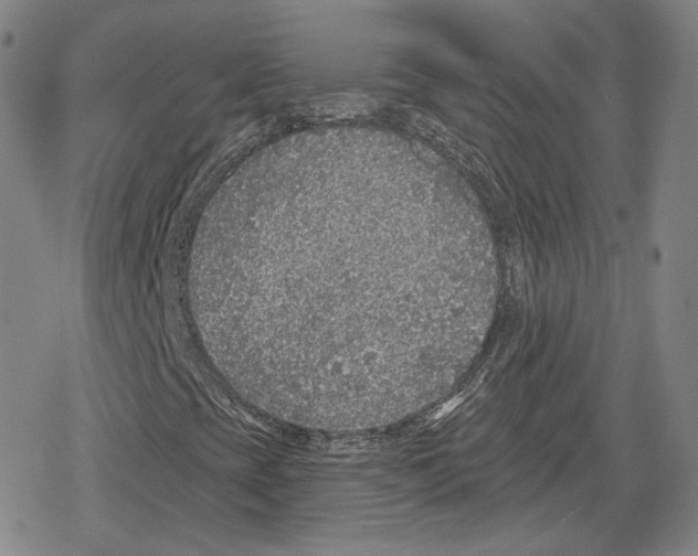 X0000079291393200612151650