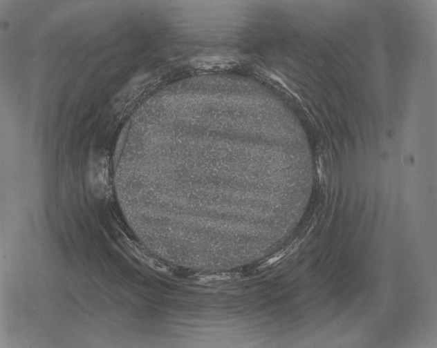 X0000079291396200612151650