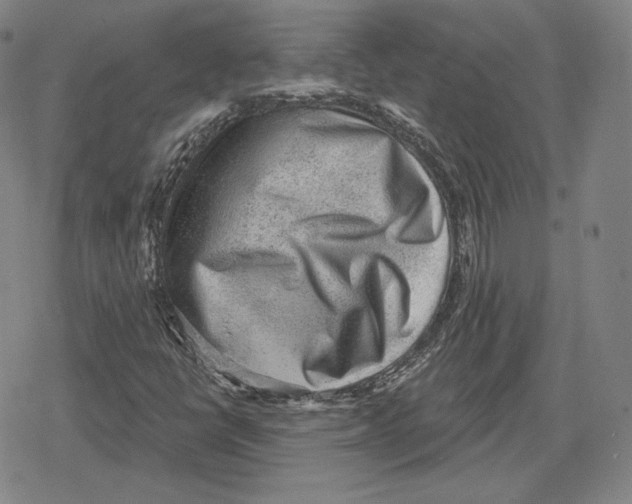 X0000079291398200612151650