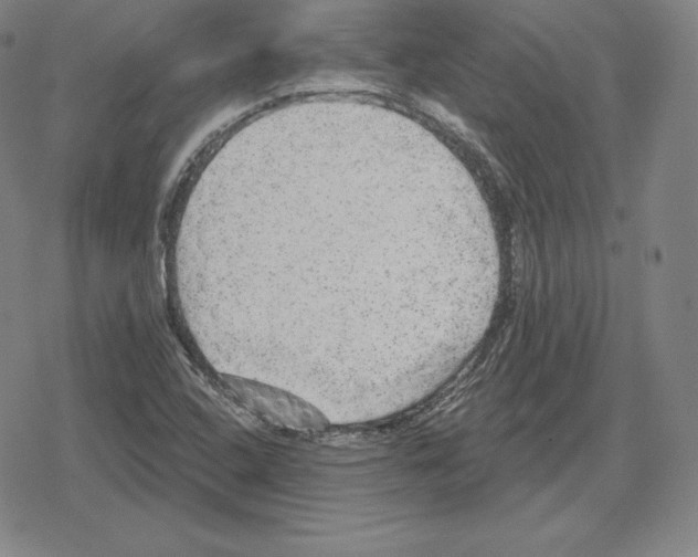 X0000079291408200612151650