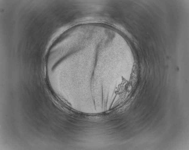 X0000079291413200612151650