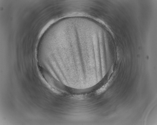 X0000079291422200612151651