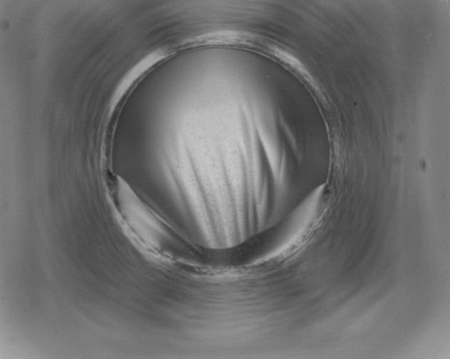 X0000079291426200612151651