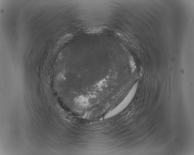 X0000079291441200612151650