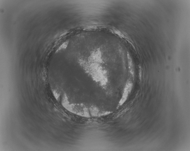X0000079291445200612151650