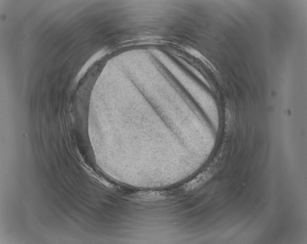 X0000079291450200612151650