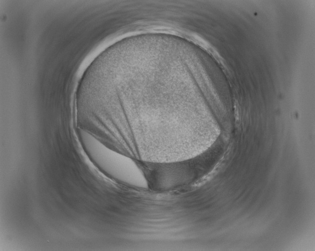 X0000079291520200612151649