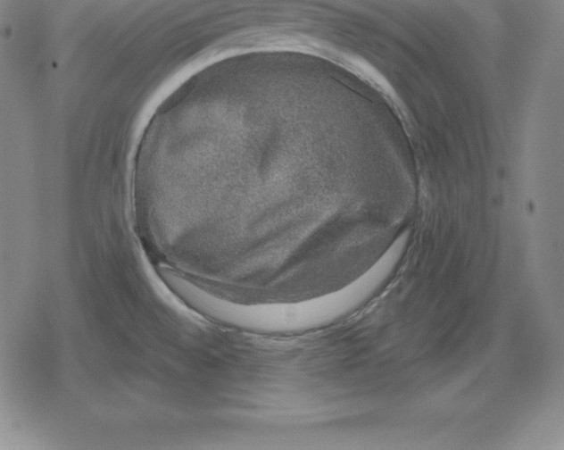 X0000079291528200612151649