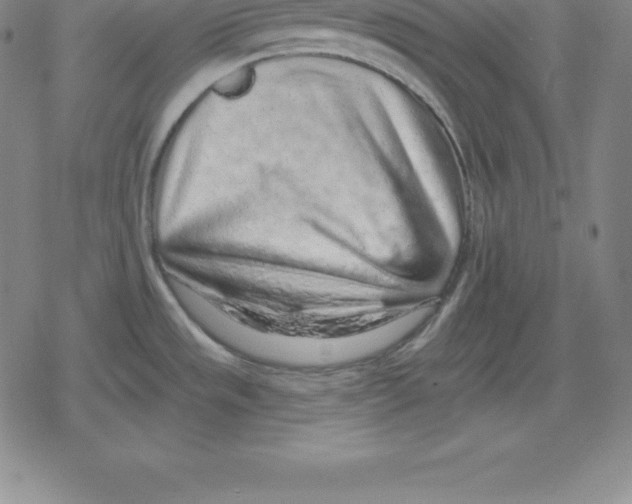 X0000079291533200612151649