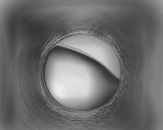 X0000079300001200611170841