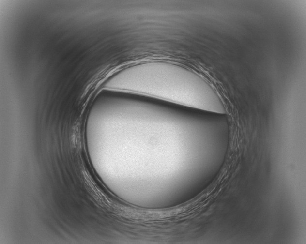 X0000079300002200611170841