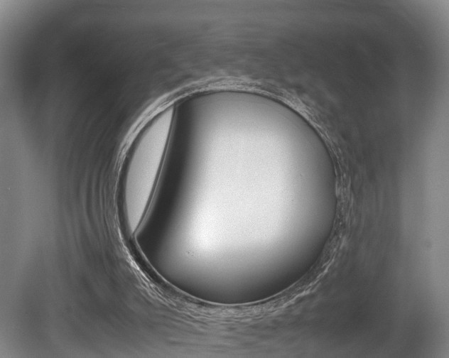 X0000079300007200611170841