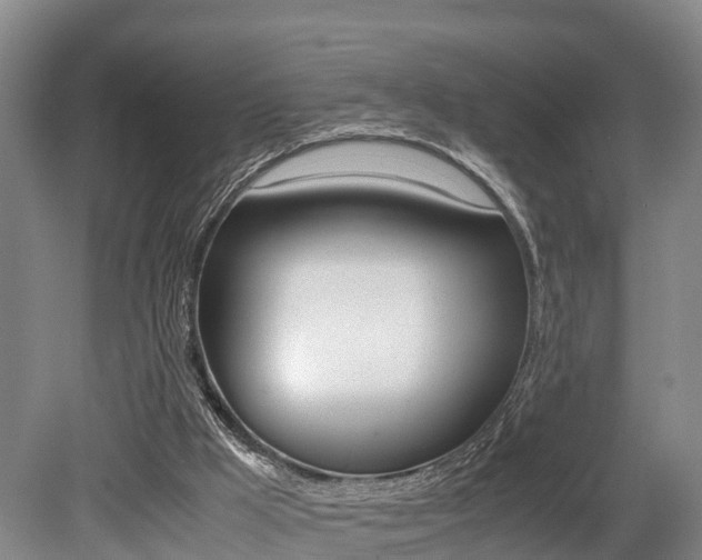 X0000079300009200611170841