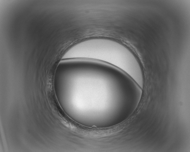 X0000079300017200611170841