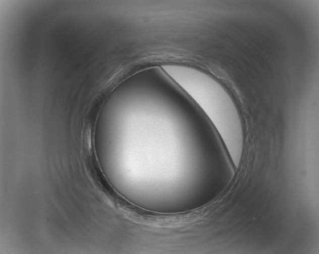 X0000079300021200611170841