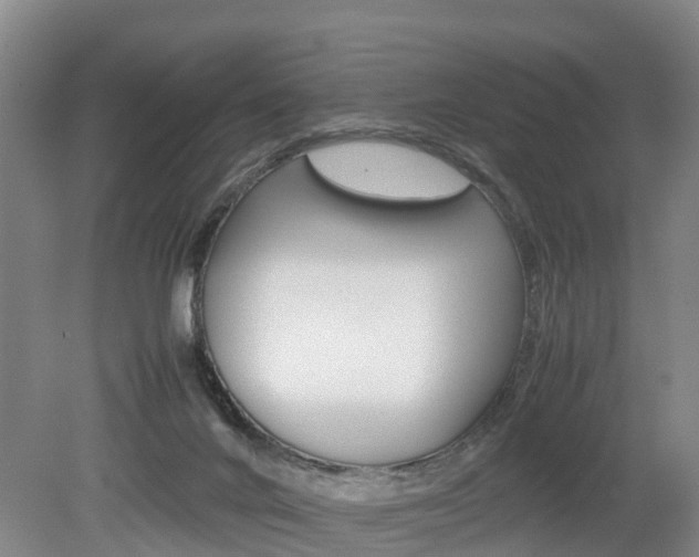 X0000079300024200611170840
