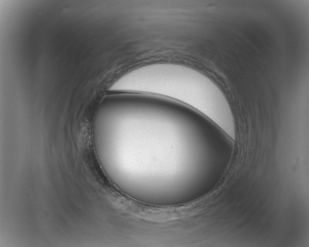 X0000079300029200611170840