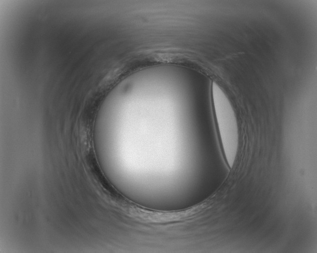 X0000079300031200611170840