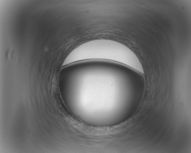 X0000079300037200611170840