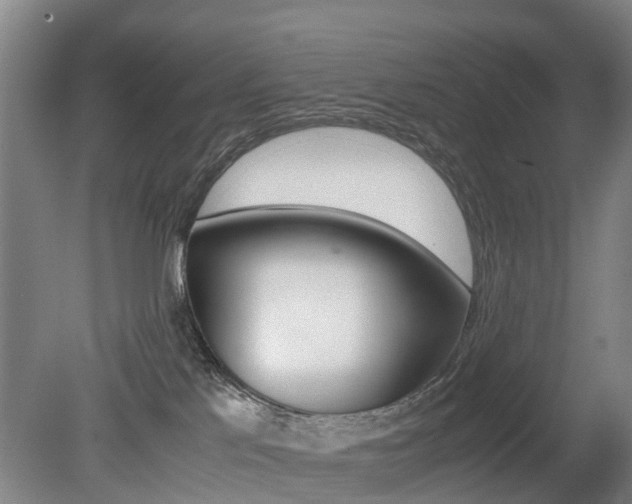 X0000079300041200611170840