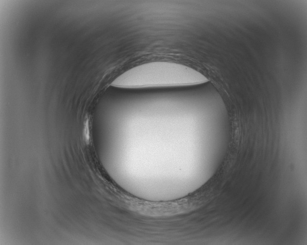 X0000079300042200611170840