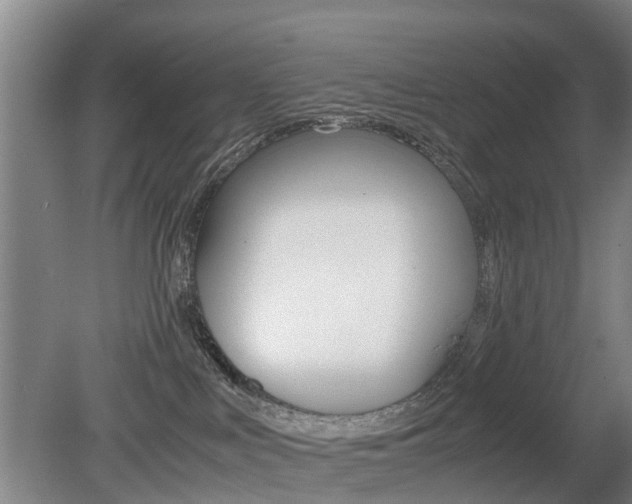 X0000079300043200611170840