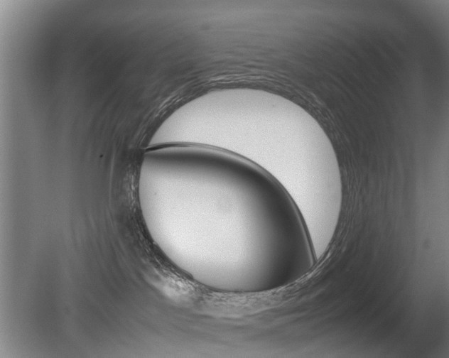 X0000079300045200611170840