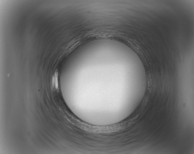 X0000079300046200611170840