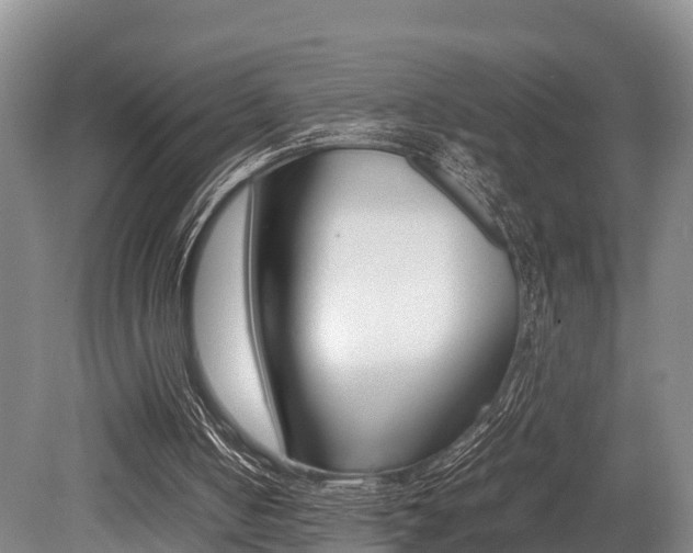 X0000079300050200611170839