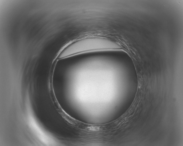 X0000079300052200611170839
