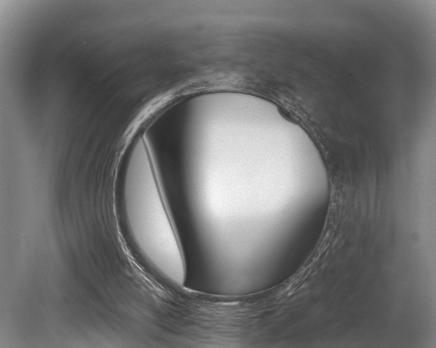 X0000079300054200611170839