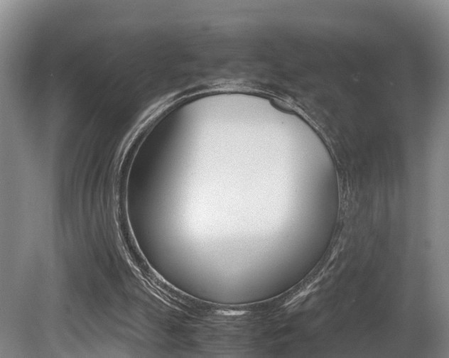 X0000079300055200611170839