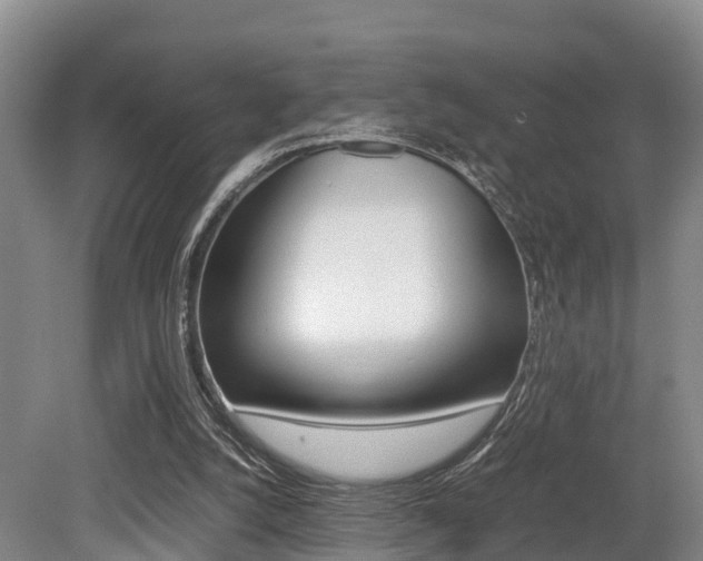 X0000079300056200611170839