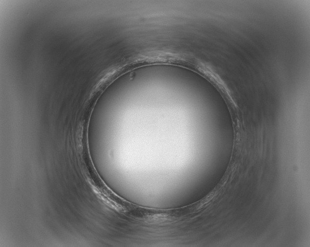 X0000079300058200611170839