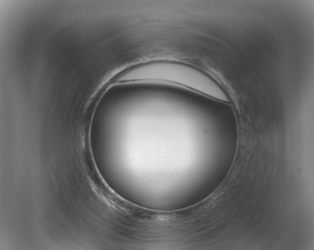 X0000079300060200611170839