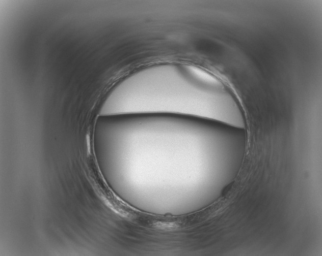 X0000079300061200611170839