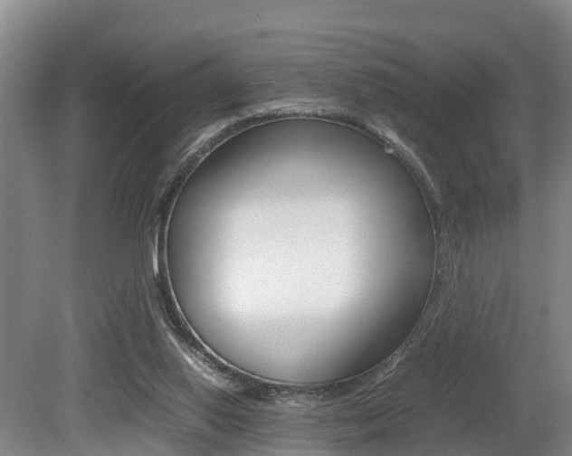 X0000079300062200611170839