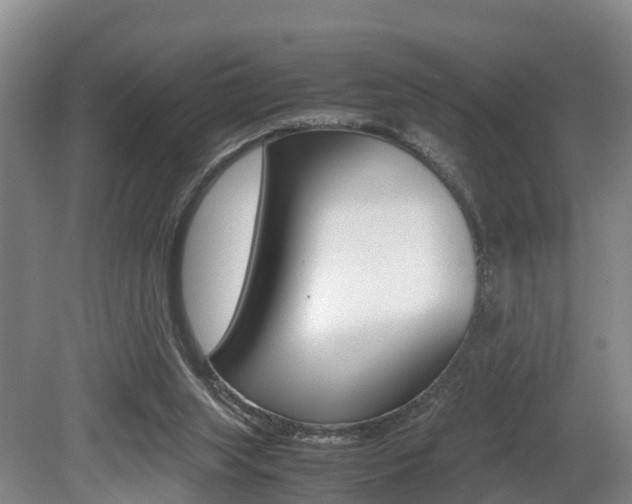 X0000079300063200611170839