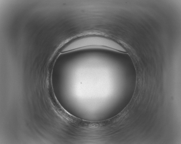 X0000079300064200611170839