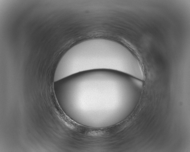 X0000079300065200611170840