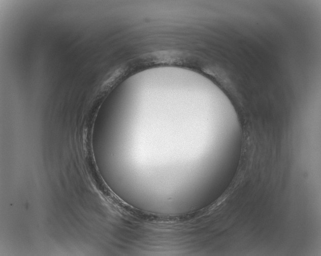 X0000079300066200611170840