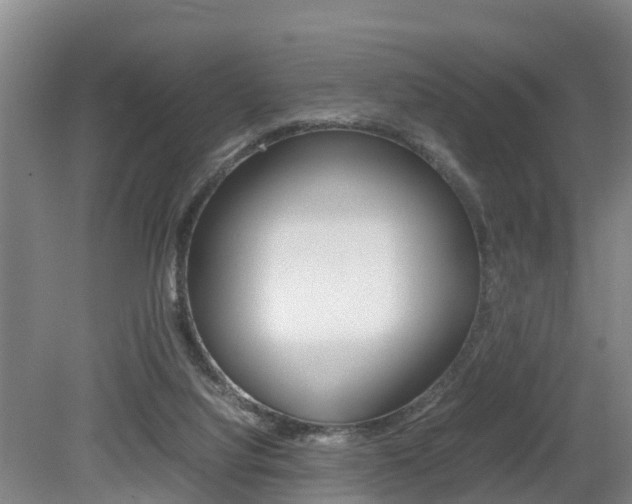 X0000079300068200611170840