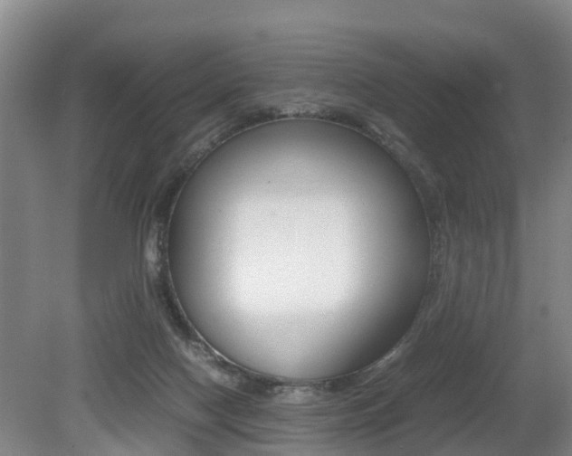 X0000079300074200611170840