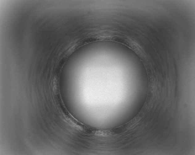 X0000079300077200611170840