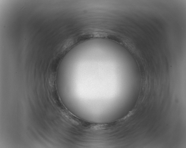X0000079300078200611170840