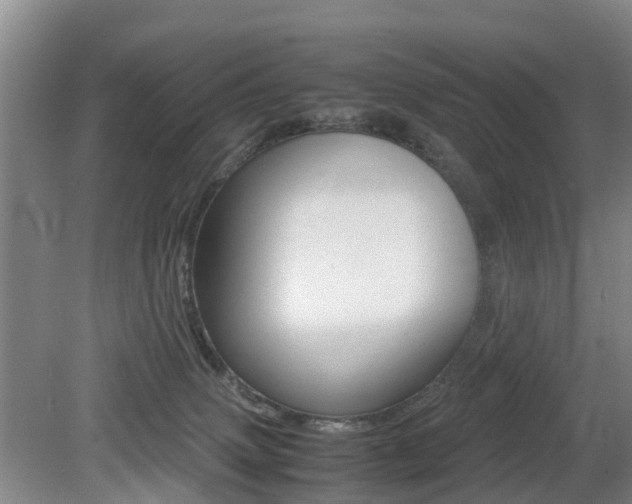 X0000079300083200611170840