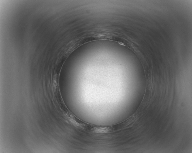X0000079300085200611170840
