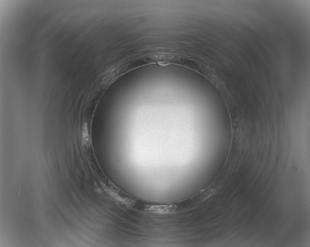 X0000079300089200611170840