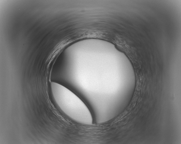 X0000079300098200611170839