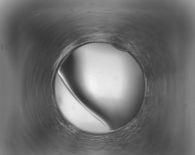 X0000079300099200611170839
